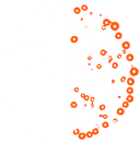 Braav Labs — Where human intelligence meets artificial intelligence to build the future.